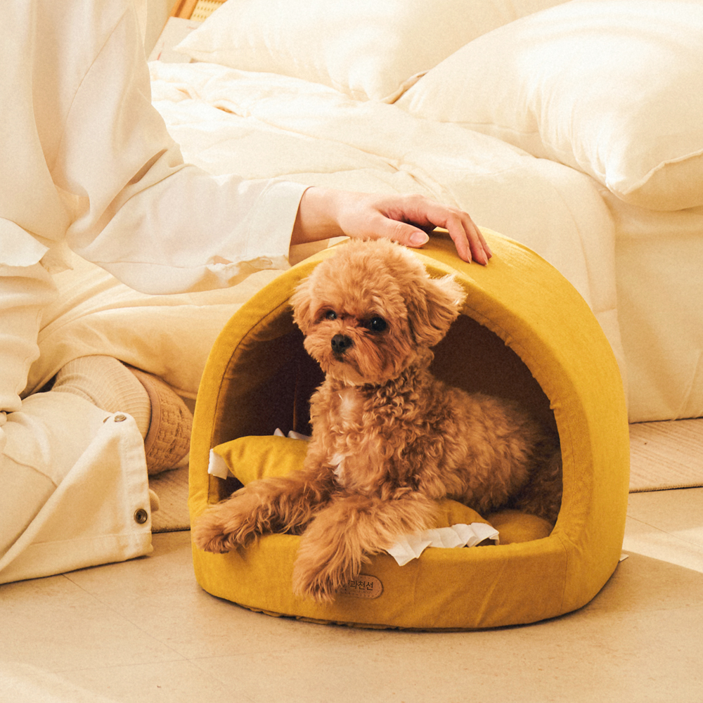 개과천선 케이브 강아지 집 하우스 고양이 동글이하우스 사계절