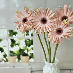 유스풀몰 파스타거베라 1송이 1줄기 생화택배 꽃배달 싼곳 솔직 후기 | 실사용자 리뷰 분석 - 상품 이미지 4