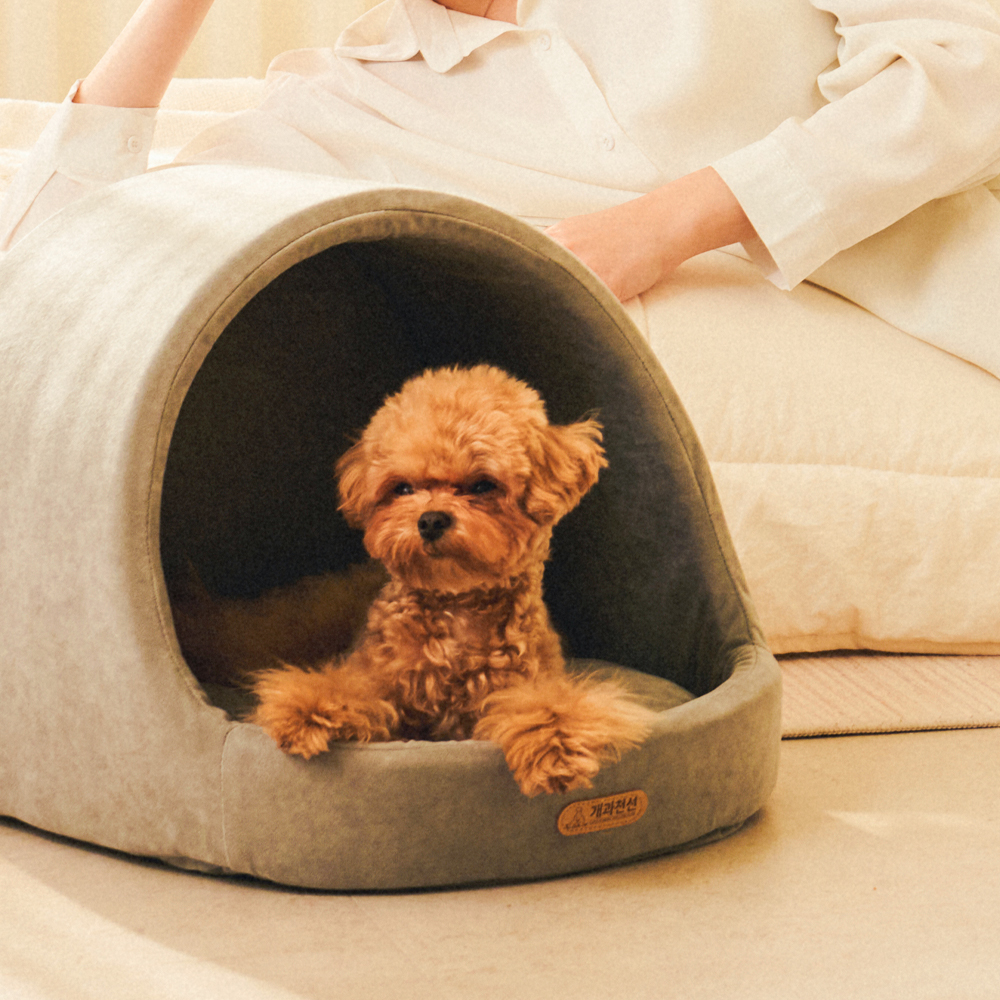 개과천선 케이브 강아지 집 하우스 고양이 동글이하우스 사계절