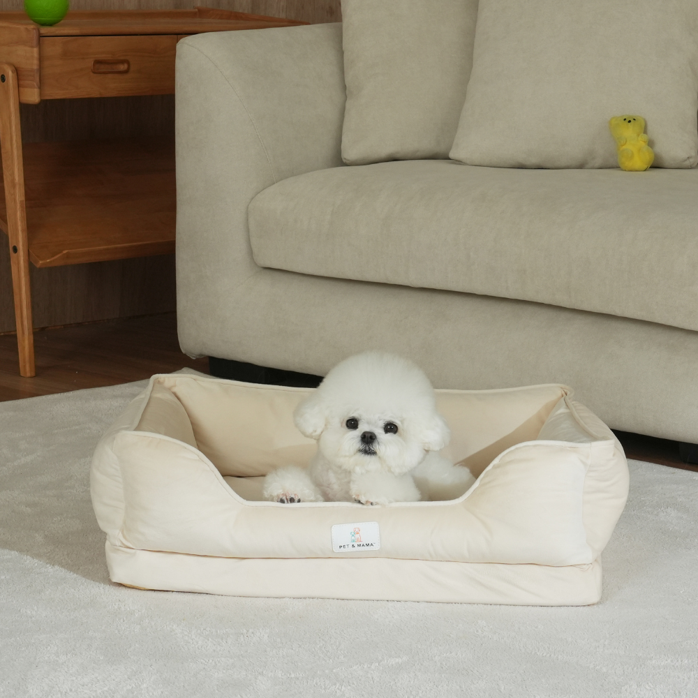 강아지 사각 방석 에그폼 관절 건강 마약방석 애견 쿠션 펫앤마마