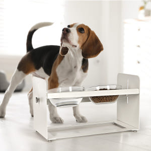 펫코본 강아지 고양이 밥그릇 높이조절 각도조절 철제 프레임 도자기 2구 솔직 후기 | 실제 사용자 리뷰 총정리 - 상품 이미지 4