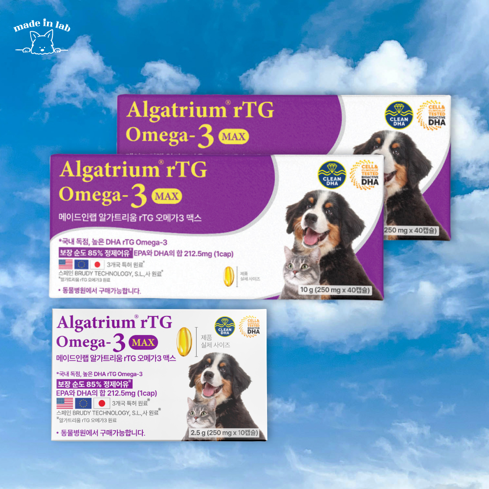 강아지 눈 영양제 오메가3 알가트리움 메이드인랩 눈건강, 250ml, 90개