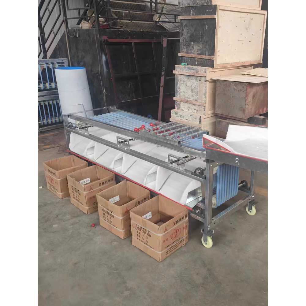 과일 크기 선별기 자동화 정렬기 분류 정리 장비 탄소강 5트랙 500W - 상세 이미지 2