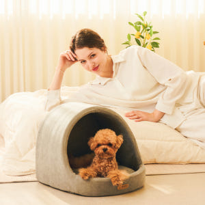 개과천선 케이브 강아지 집 하우스 고양이 동글이하우스 사계절 솔직 후기 | 실제 사용자 리뷰 총정리 - 상품 이미지 4