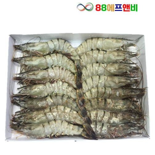 블랙타이거 새우 20미 500g(아이스박스 무료) 냉동 얼룩새우 킹 대왕 킹타이거새우