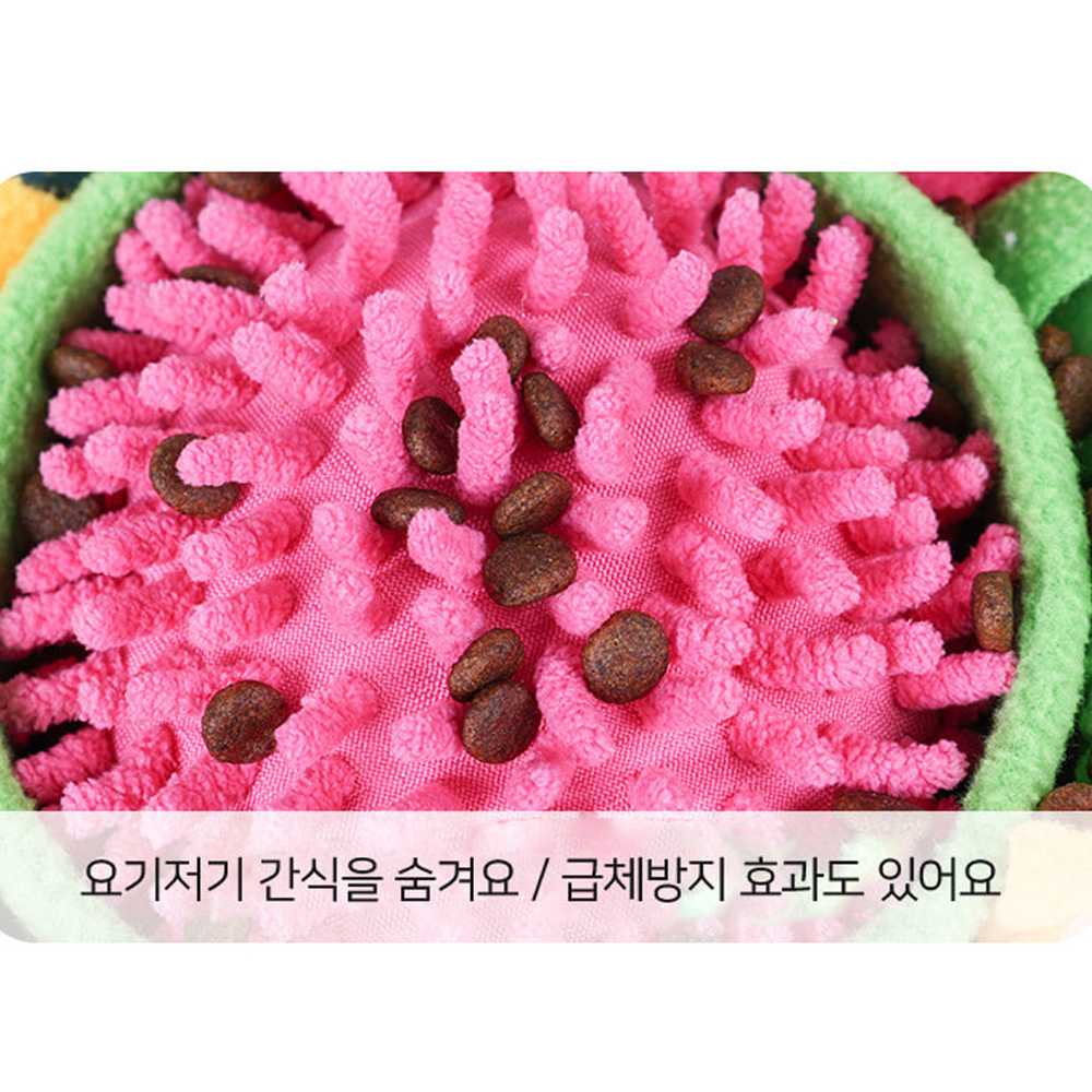 개과천선 센트 원형 애견 강아지 노즈워크 매트 훈련 장난감 - 상세 이미지 5