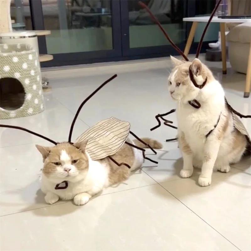 고양이 바퀴벌레 옷 만들기 DIY 강아지 웃긴 반려동물 의상 쓸데없는 선물 신박한 - 상세 이미지 4