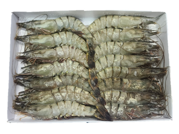 블랙타이거 새우 15미 500g(아이스박스 무료) 냉동 얼룩새우 킹 대왕 킹타이거새우