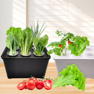 홈가드닝 플랜트박스 텃밭화분 저면관수 트레이 삽목판 수경재배 키트 육묘 ... 실사용 후기 | 효과 있을까? - 상품 이미지 2