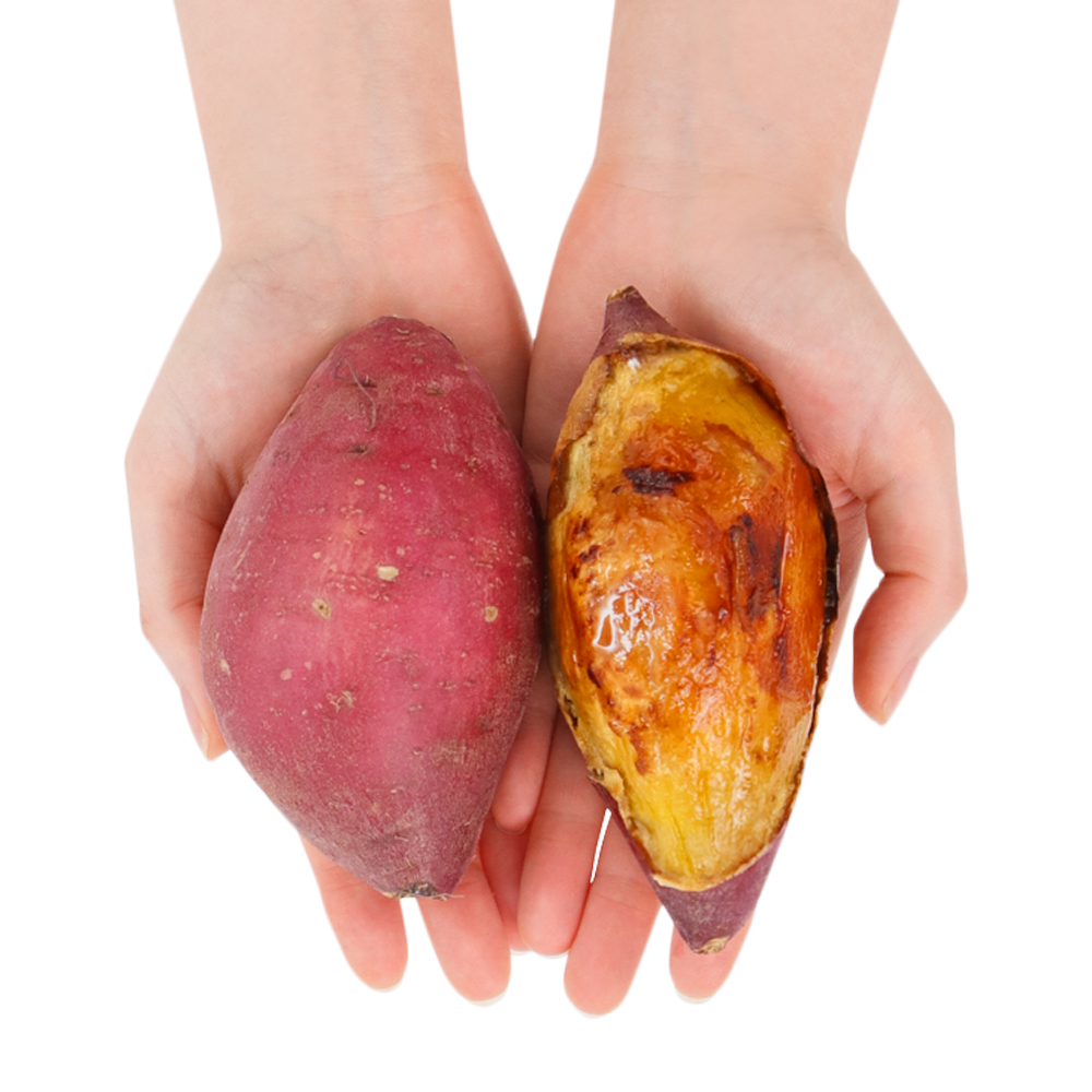 쫀득달달 프리미엄 꿀고구마 OPEN