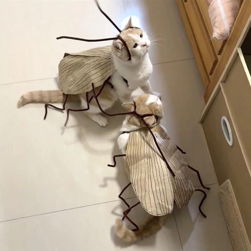 고양이 바퀴벌레 옷 만들기 DIY 강아지 웃긴 반려동물 의상 쓸데없는 선물 신박한 - 상세 이미지 2