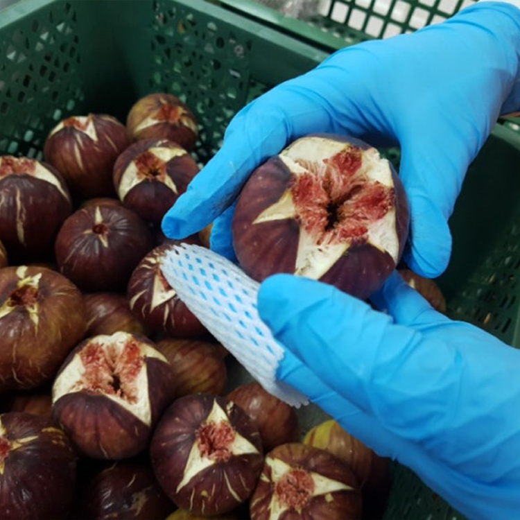 26년 무농약 고당도 해남 무화과 800g 1.6kg 2.4kg - 상세 이미지 2