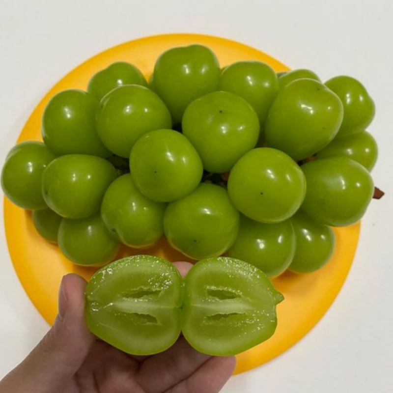 자연가득 고급스러운 맛의 샤인머스켓 망고 포도1kg-2.4kg - 상세 이미지 3