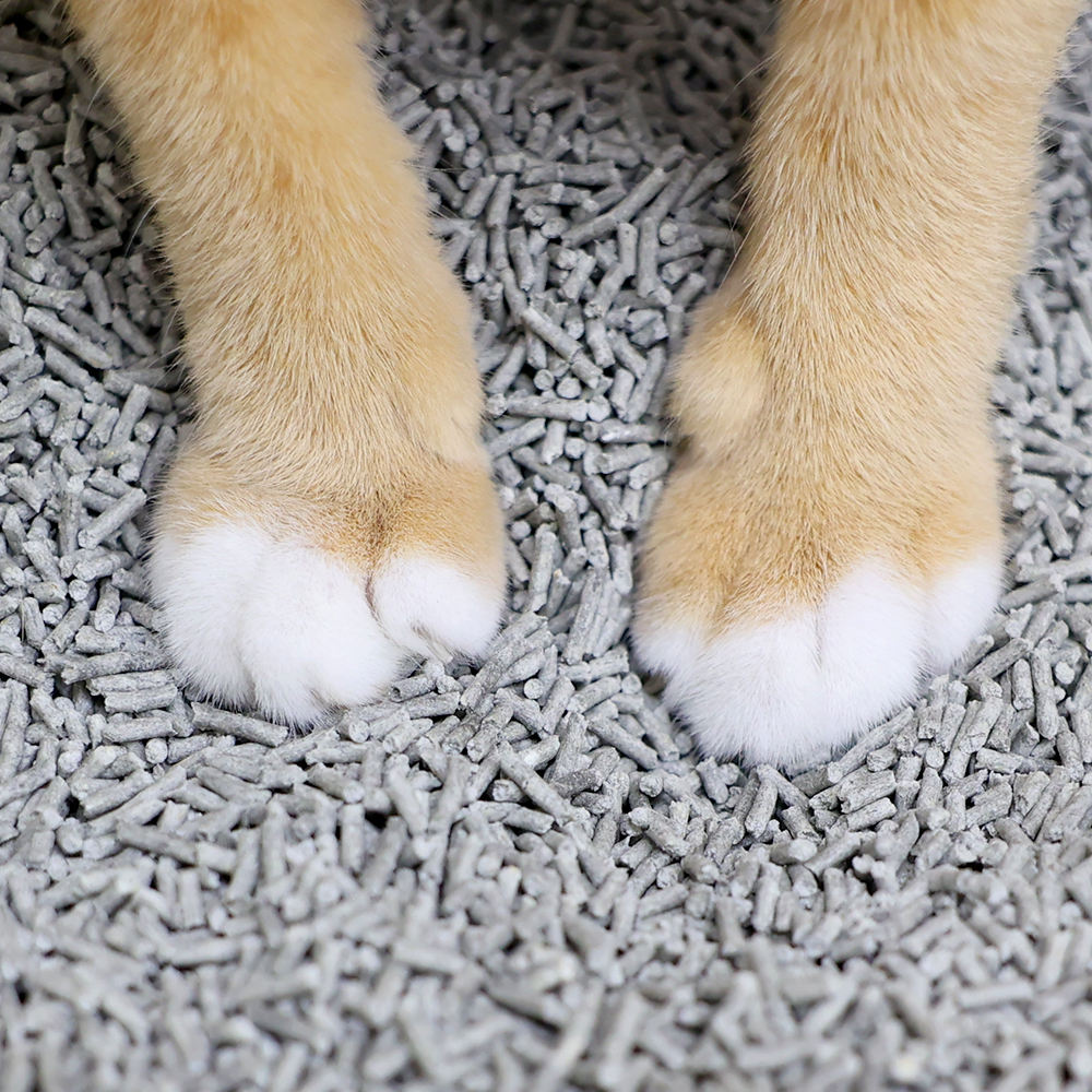 두부혁명 먼지없는 고양이 두부모래 슬림입자 2.5kg x 5개입