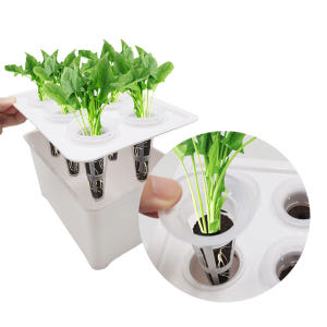 홈가드닝 플랜트박스 텃밭화분 저면관수 트레이 삽목판 수경재배 키트 육묘 ... 실사용 후기 | 효과 있을까? - 상품 이미지 3