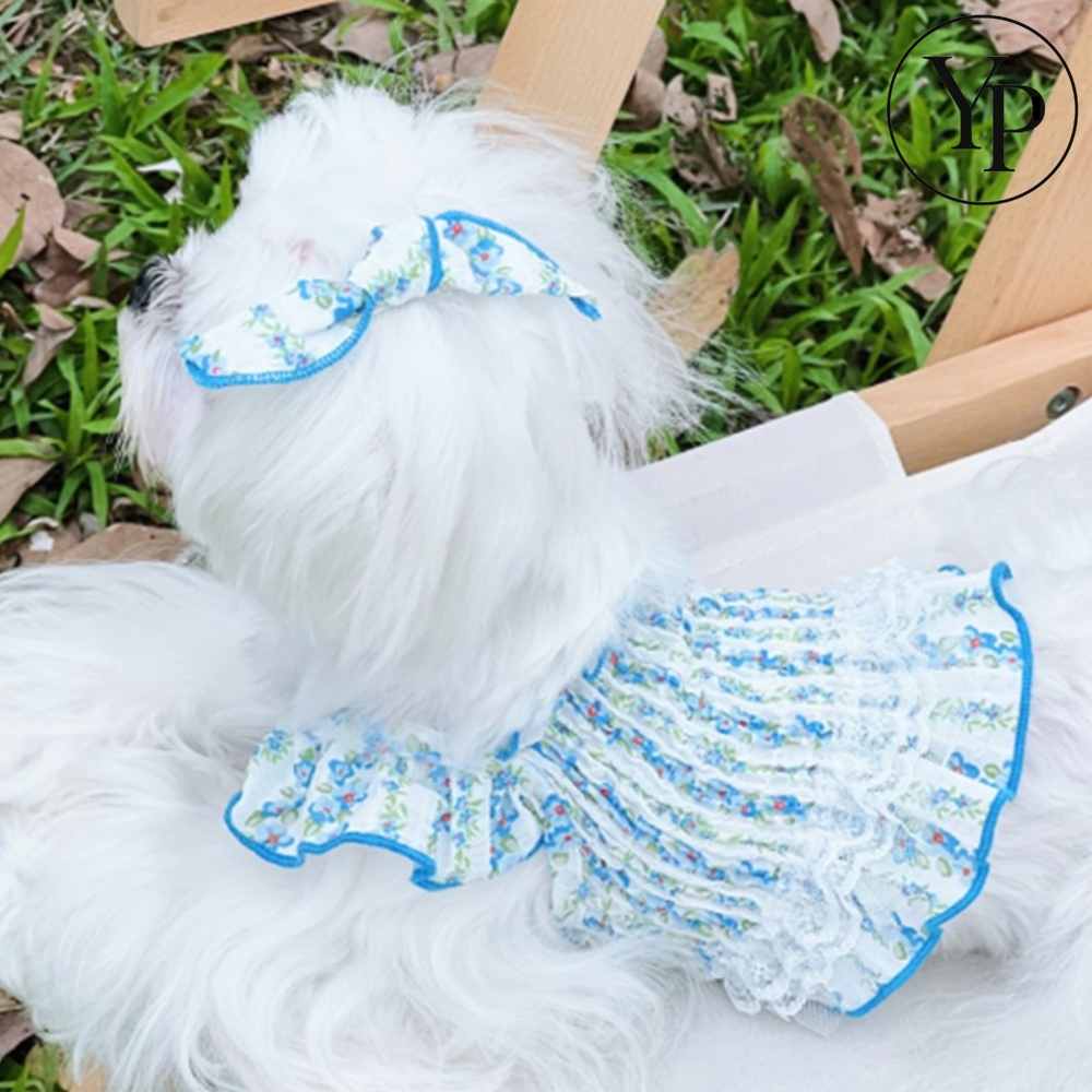 애완동물 프릴 원피스 외출복 소형견 중형견 플라워 드레스 실내복 강아지 치마