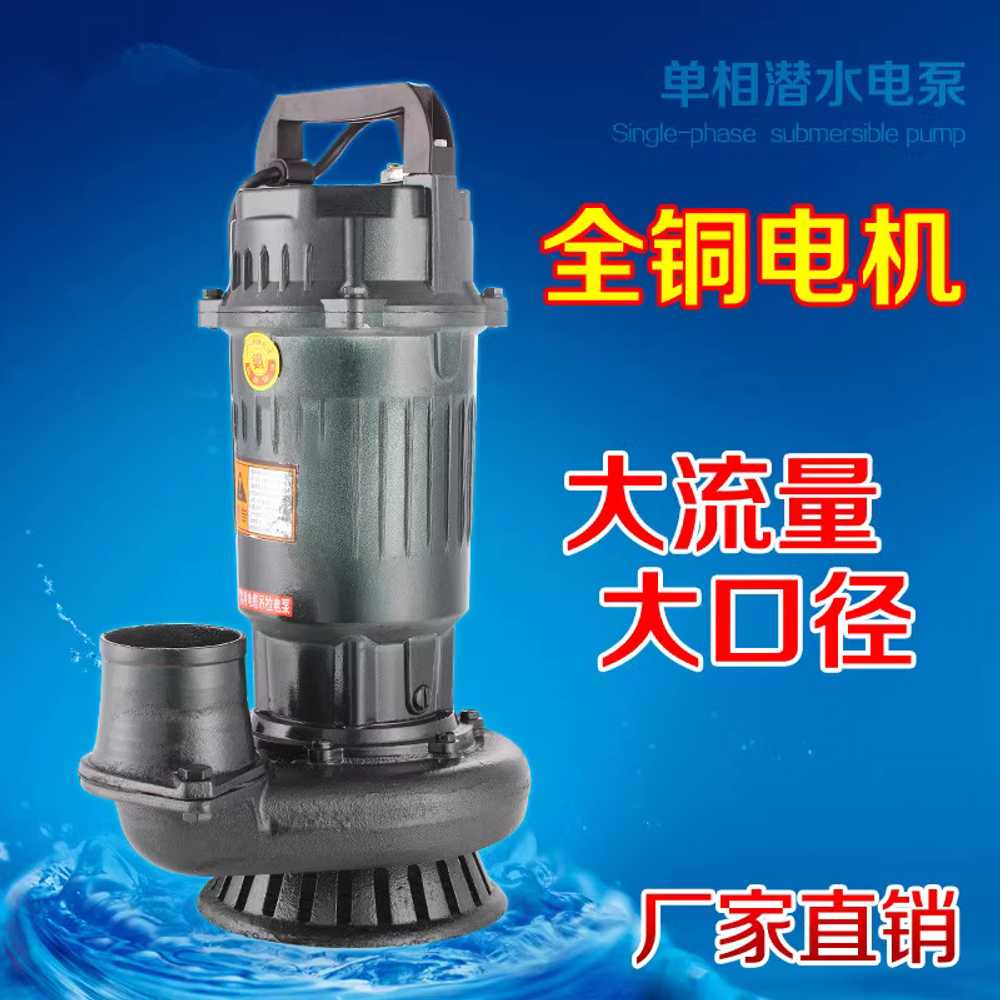 수중 펌프 2마력 농업용 관개용 고유량 도구 1.1KW 2인치 220V - 상세 이미지 2