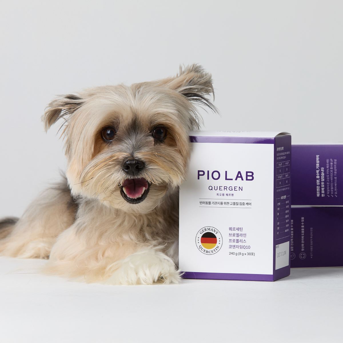 피오랩 퀘르젠 강아지 기관지 영양제 협착증 켁켁거림 기침 30포, 3개 - 상세 이미지 4