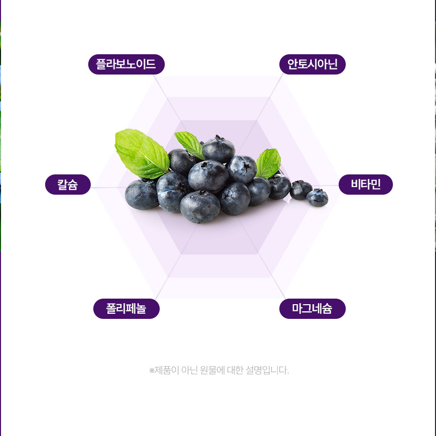 빌베리 농축 분말 정 안토시아닌 폴리페놀 60정, 3개 - 상세 이미지 5