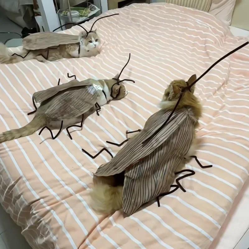 고양이 바퀴벌레 옷 만들기 DIY 강아지 웃긴 반려동물 의상 쓸데없는 선물 신박한 - 상세 이미지 3