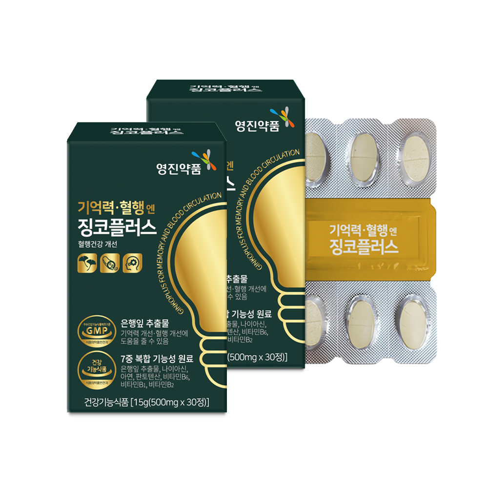 영진약품 기억력 혈행 징코플러스 1+1(2개월분) 혈액순환 혈행케어 - 상품 이미지