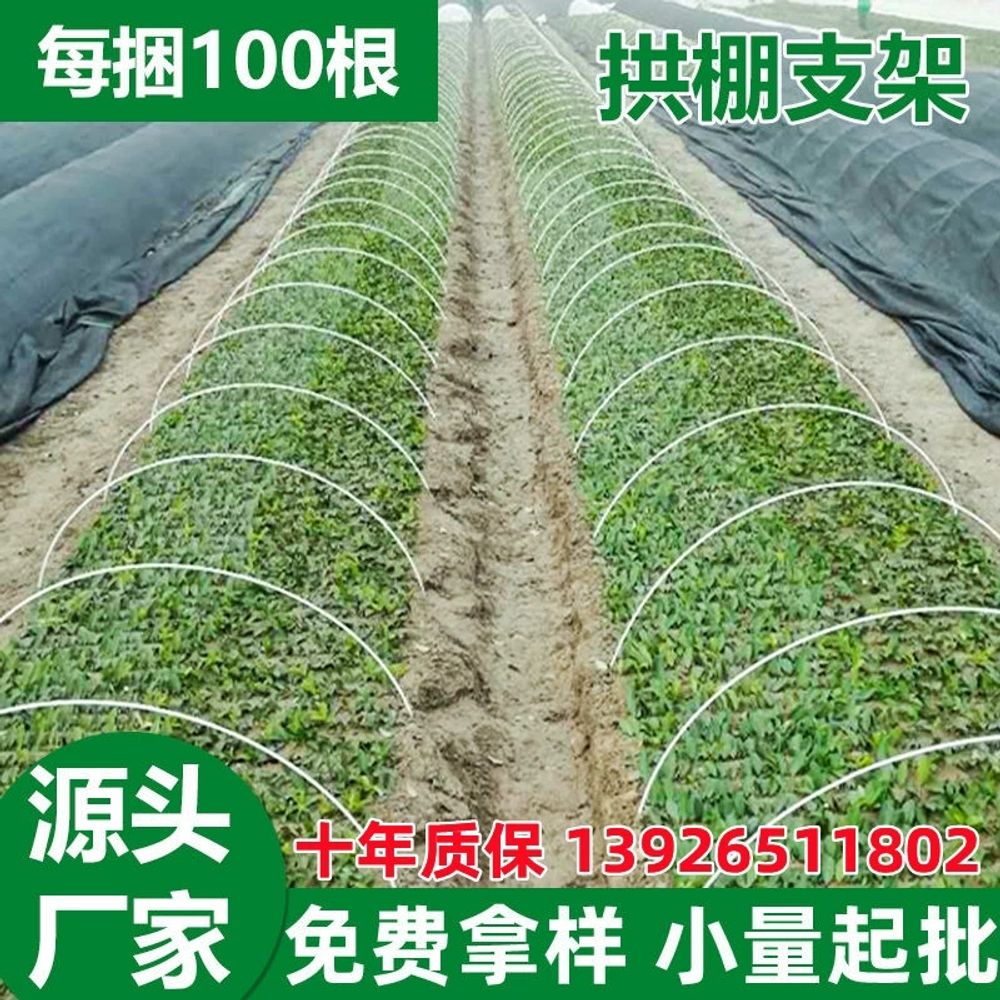 비닐 터널용 텃밭 4mm FRP활대 1m 강선 A. 4mm 직경 1 미터 길이 20 조각 - 상세 이미지 5