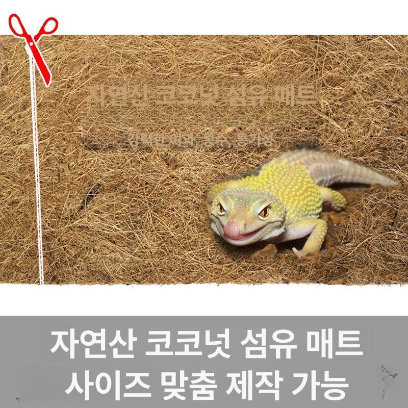 아파트 현관 매트 베란다 플로어 대형 발코니 출입문발판 100x50cm 약 1cm 3개 1개 - 상세 이미지 4