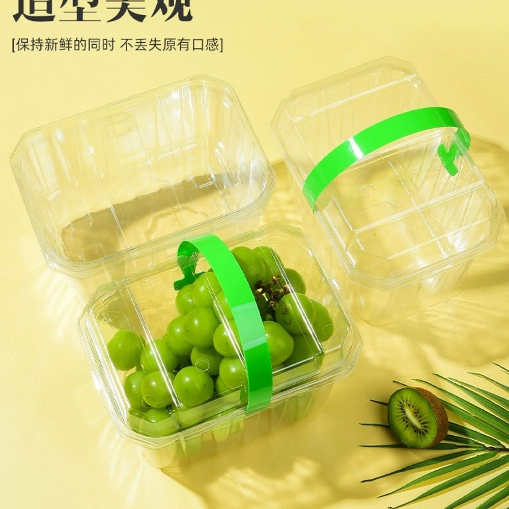 과일 포장 용기 블루베리 세트 200개 바구 A. 약 2 3 Catties Pack 하단 - 상세 이미지 4