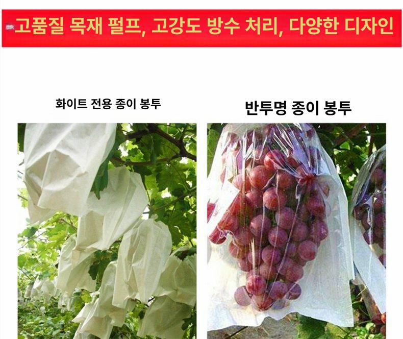 포도봉지 샤인머스캣 반투명 포장 봉투 종이 kg 포도 30x38팩-100개 - 상세 이미지 5