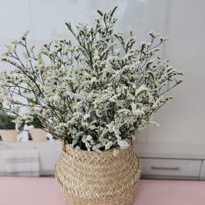 유스풀몰 시네신스 반단 색상랜덤 생화 꽃배달싼곳 꽃 화훼농가돕기 솔직 후기 | 실사용자 리뷰 분석 - 상품 이미지 2