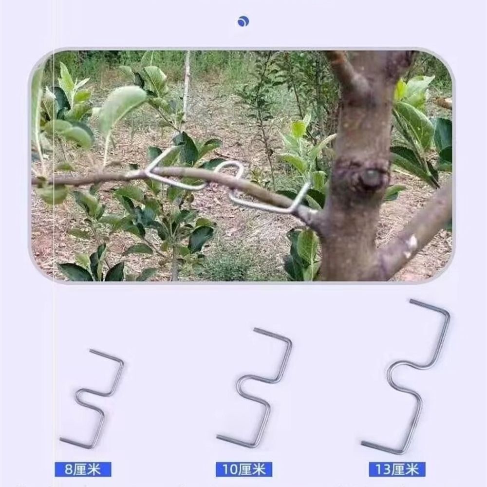 나무가지 고추대클립 묘목 과일 원예 식물 철 A. M 자형 8 cm 1 Catties 50 - 상세 이미지 5
