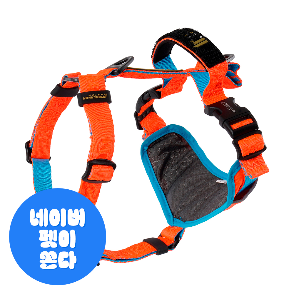 인터라켄 어스텍 H형 강아지 끈 하네스 XS