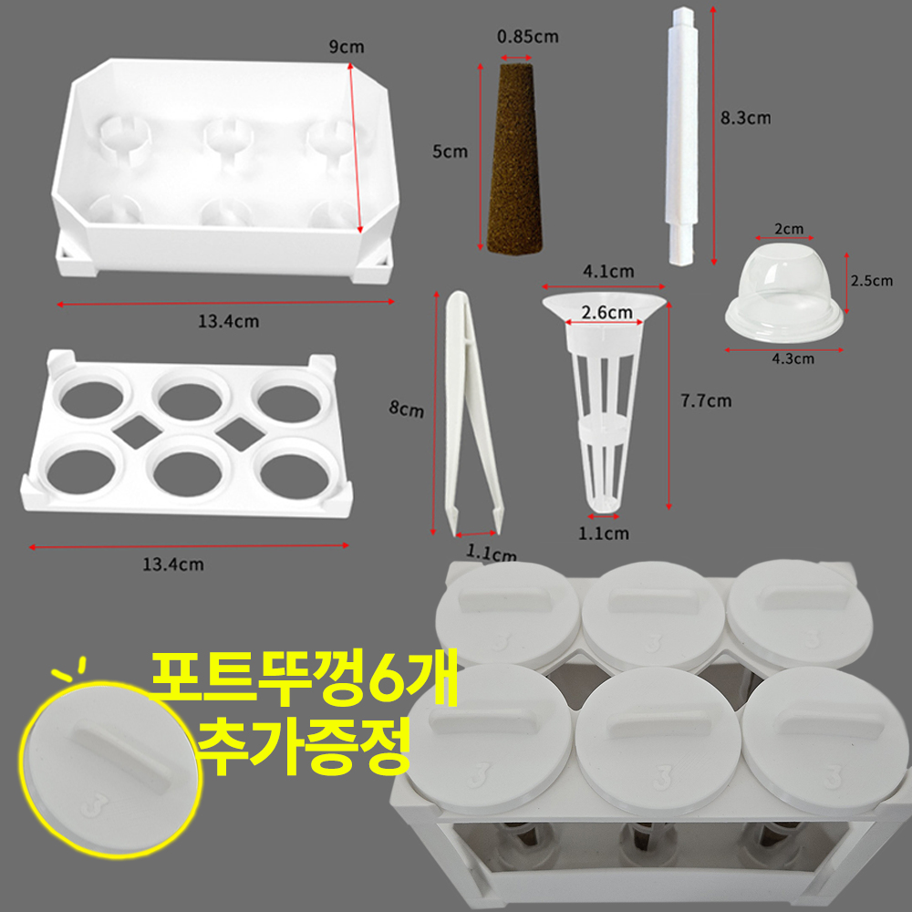 수경재배키트 6구 투명 케이스 물통 생육 모던박스 실내텃밭 베란다 조경 채소재배기 세트 - 상세 이미지 4