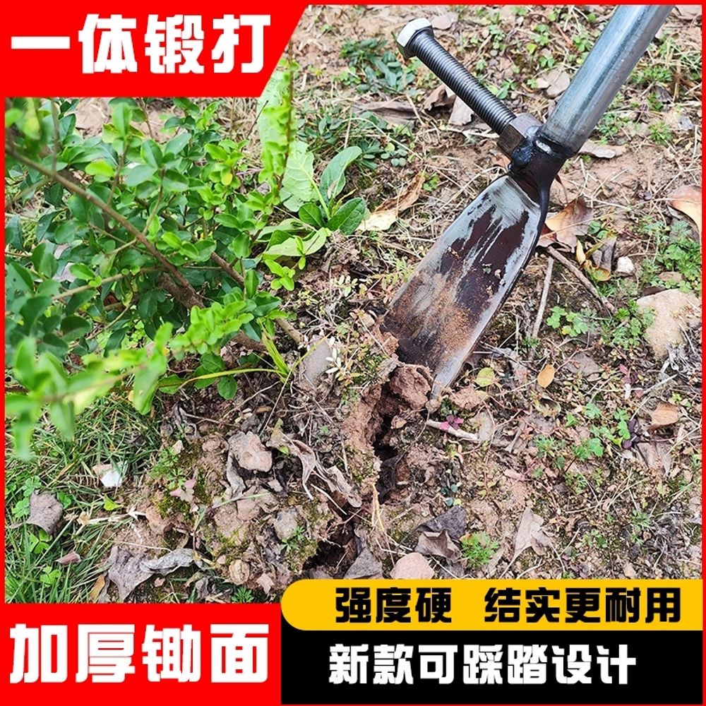 나무뿌리제거 조경삽 특수삽 원예 망간강 묘목 나무 구멍 A. 망간강 단조삽대형  발나사 - 상세 이미지 4