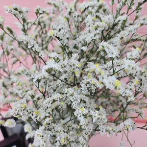 유스풀몰 시네신스 반단 색상랜덤 생화 꽃배달싼곳 꽃 화훼농가돕기 솔직 후기 | 실사용자 리뷰 분석 - 상품 이미지 4