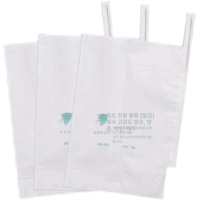 포도봉지 샤인머스캣 반투명 포장 봉투 종이 kg 포도 30x38팩-100개 - 상품 이미지