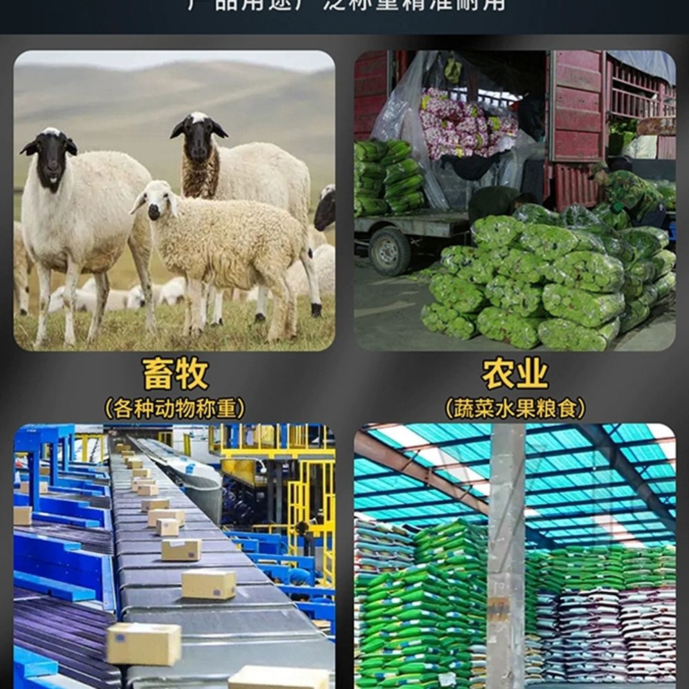 바닥저울 톤백저울 파렛트 팔레트 가축 계근대 농업용 전자 A. 0.75m0.75m03t - 상세 이미지 5