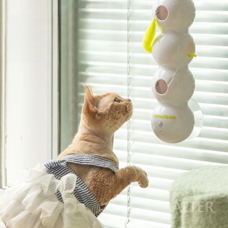 고양이 애벌레 장난감 반려묘 인스타 움직이는 애벌레 장난감 (길이 20cm) - 상세 이미지 3