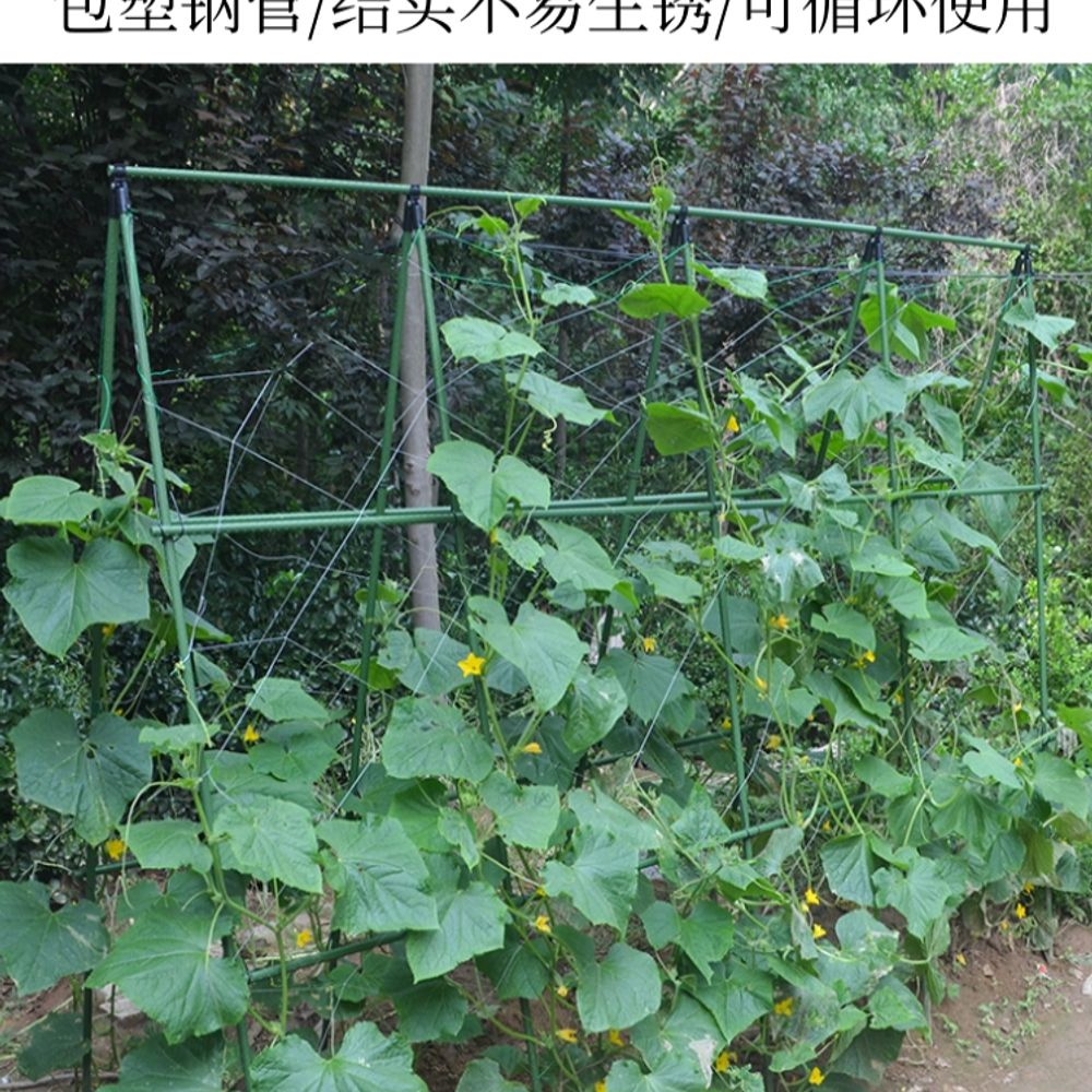 텃밭지지대 오이 넝쿨 고정대 호 A. 두께 11mm 길이 90cm 높이 1, A. 중간 - 상세 이미지 5