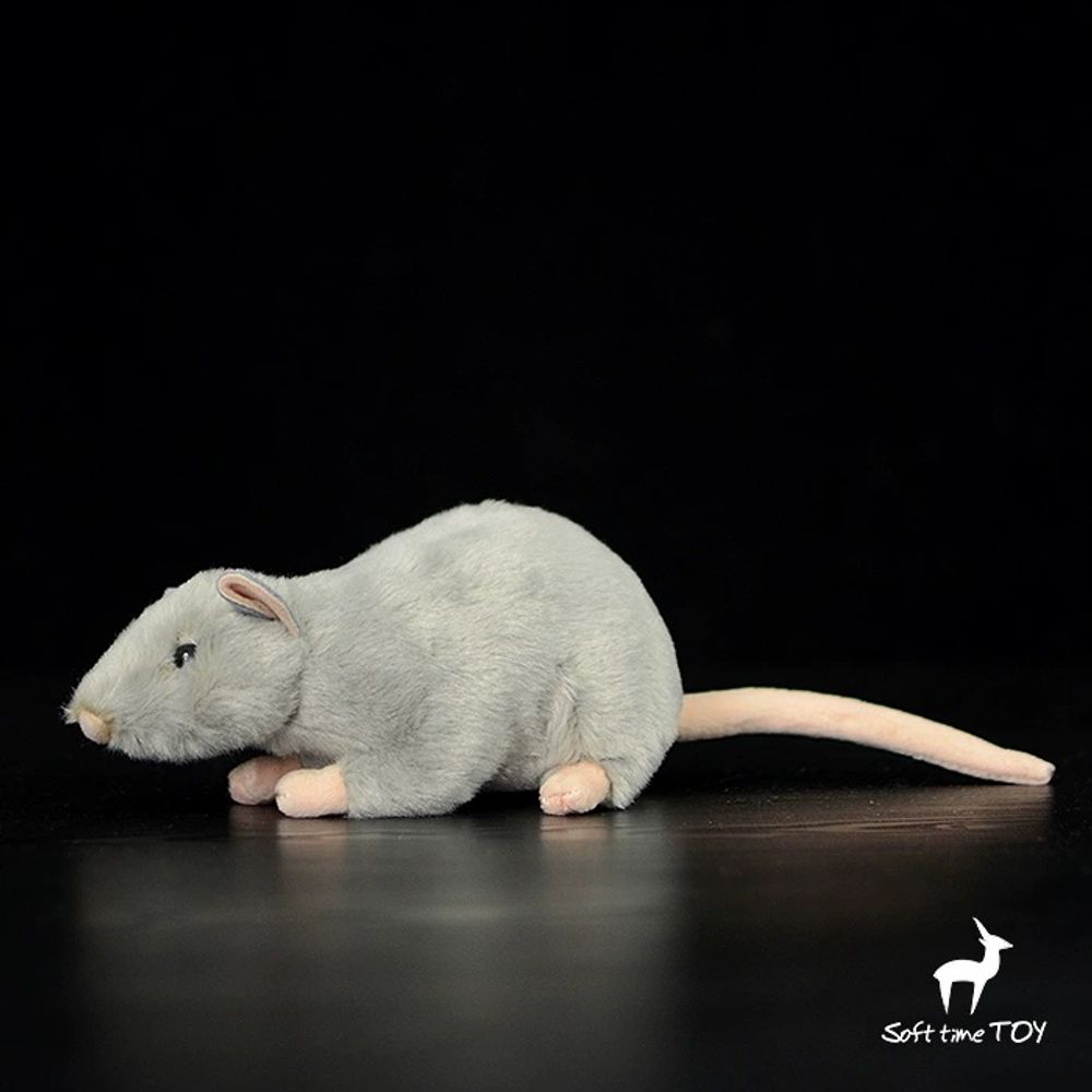 회색 A. 송장이 없고이 옵션을 취하고주의 깊게 메, A. 코부터 엉덩이까지 길이 17cm - 상세 이미지 3