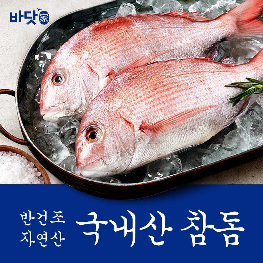 (m)[바닷가]국내산 자연산 반건조 참돔 300g5팩