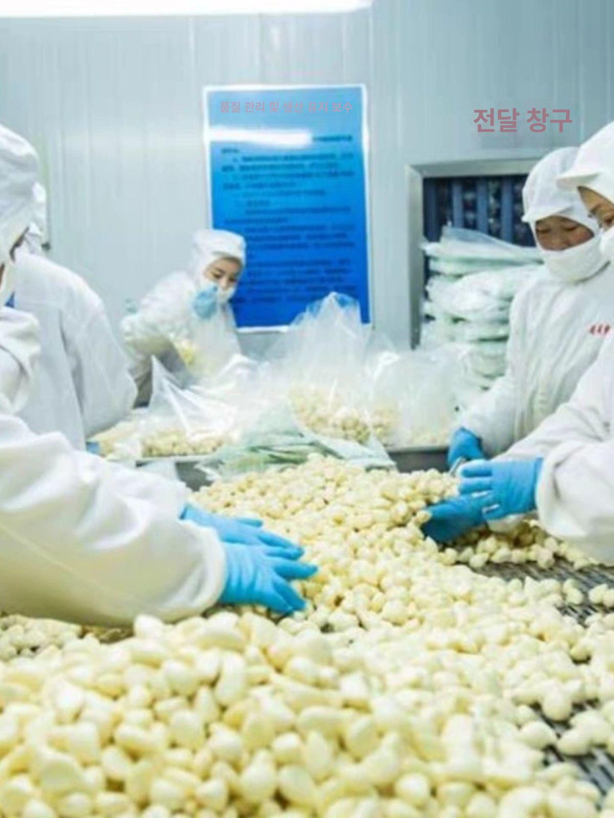 상업용 마늘 껍질 벗기는 기계 마늘박피기 손상없는 SPR-40 모델 마늘 껍질 제거기 - 상세 이미지 3