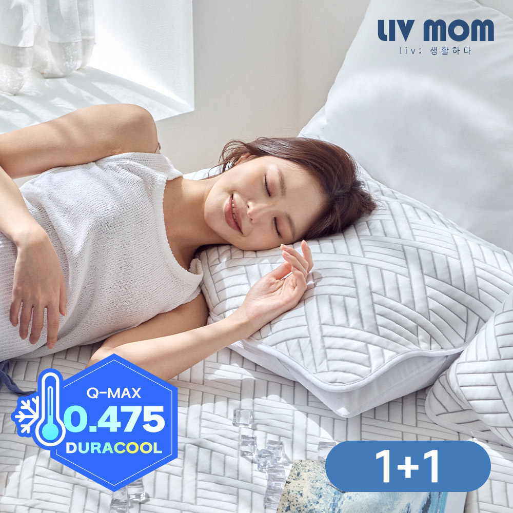 [1+1/총2장]리브맘 3초 뚝딱 매일 바꿔쓰는 듀라쿨 아이스냉감 밴딩형 베개커버 40x60 - 상품 이미지