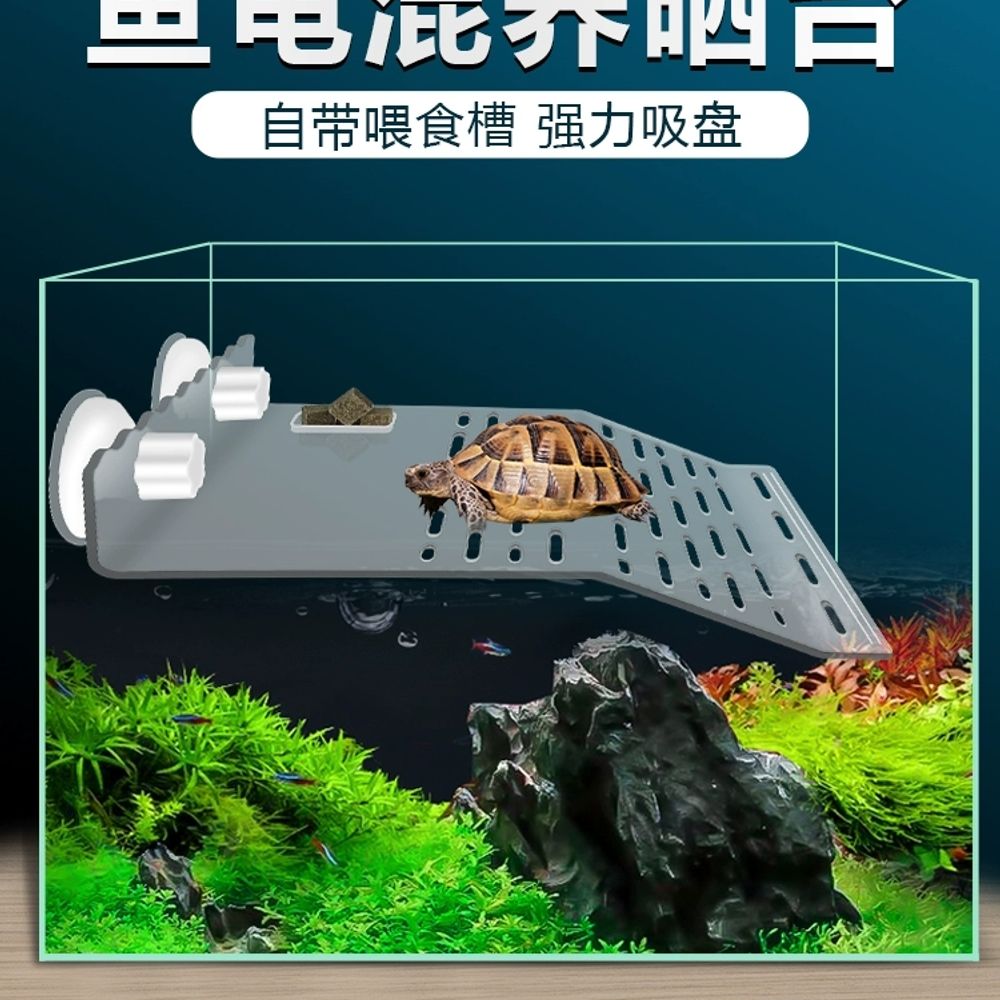 거북이쉼터 수조 육지거북이 거북이 놀이터 소형 벽걸 A. 강력흡착컵 두꺼워짐 화이트 미디엄 - 상세 이미지 2
