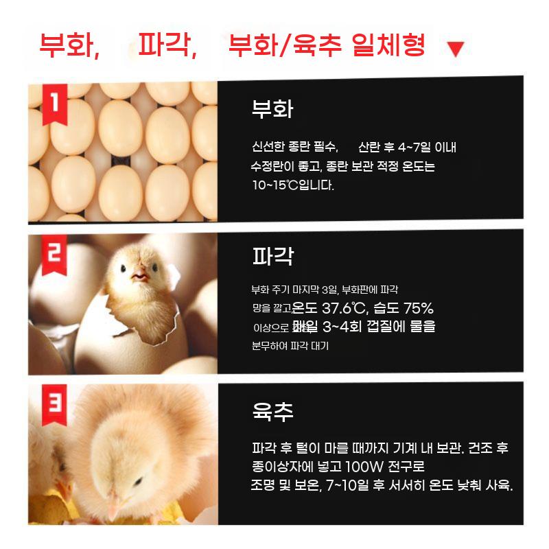 대형 병아리부화기 자동 인큐베이터 거위 병아리 - 상세 이미지 5