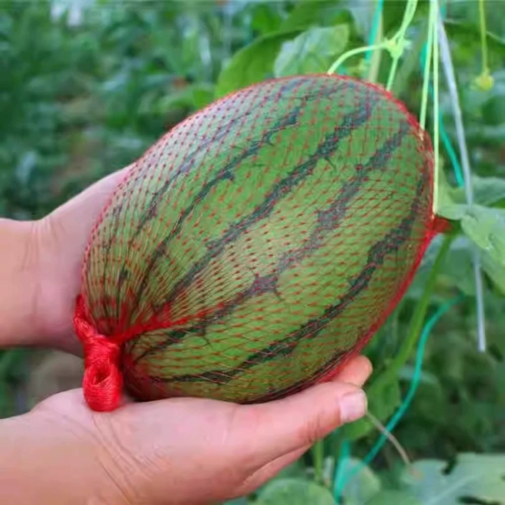 수박망 애플수박 멜론 보호망 호박 빨간색 이하 A. 로프가 들어간 굵은 면35cm100개 - 상세 이미지 5