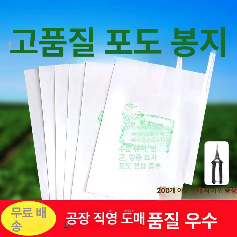포도봉지 샤인머스캣 반투명 포장 봉투 종이 kg 포도 30x38팩-100개 - 상세 이미지 2