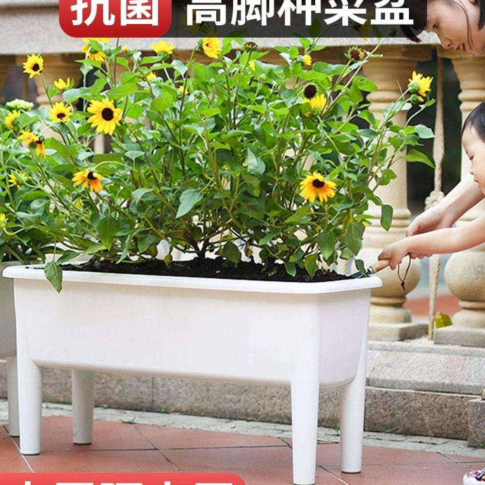 베란다 텃밭 상자 마당 플라스틱 화분 A. 항균 고발구 야채화분, A. 플라스틱, A. 큰 - 상세 이미지 2