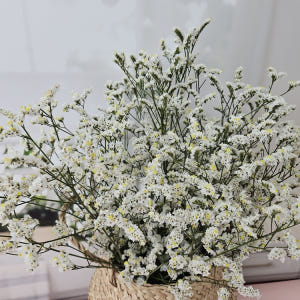 유스풀몰 시네신스 반단 색상랜덤 생화 꽃배달싼곳 꽃 화훼농가돕기 솔직 후기 | 실사용자 리뷰 분석 - 상품 이미지 3