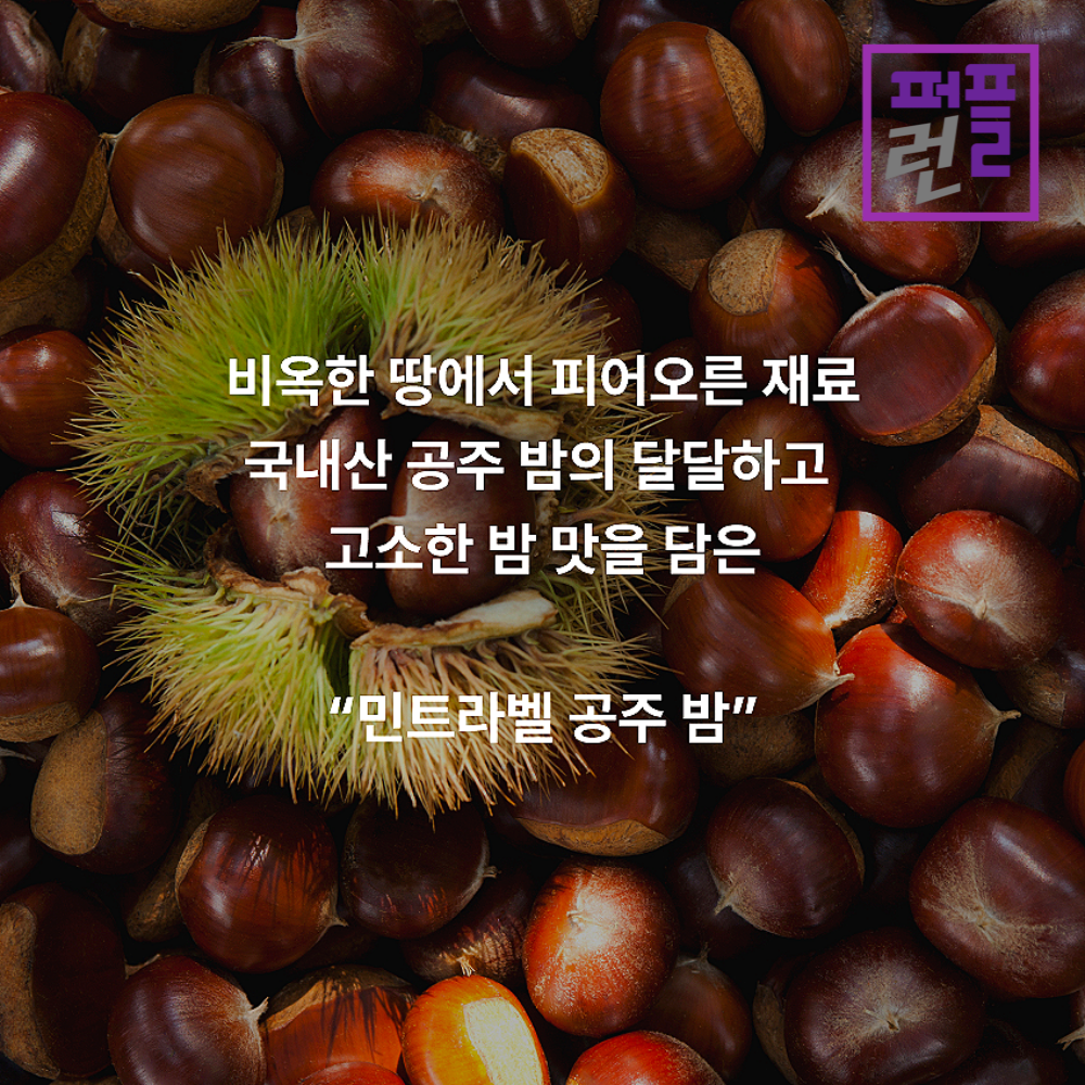 공주 밤 라떼 파우더 민트라벨 800g x 2ea 이미지 7